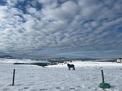 Apartmani na Zlatiboru - kuća za odmor Zlatiborski visovi