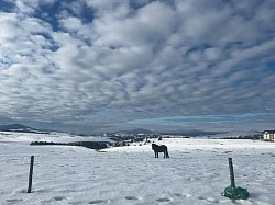 Zimski ambijent dvorista pod snegom kuca za odmor Zlatiborski visovi Obudojevica