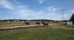 Apartmani na Zlatiboru - kuća za odmor Zlatiborski visovi