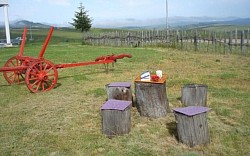 Apartmani na Zlatiboru - kuća za odmor Zlatiborski visovi