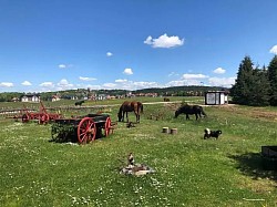 Apartmani na Zlatiboru - kuća za odmor Zlatiborski visovi