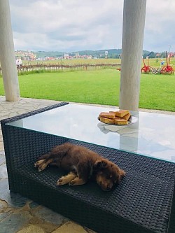 Apartmani na Zlatiboru - kuća za odmor Zlatiborski visovi