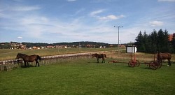 Apartmani na Zlatiboru - kuća za odmor Zlatiborski visovi