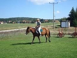 Apartmani na Zlatiboru - kuća za odmor Zlatiborski visovi