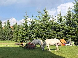 Apartmani na Zlatiboru - kuća za odmor Zlatiborski visovi - Pogled na nepregledni zeleni tepih zlatiborskih livada sa prozora spavaće sobe  Siluete četinara i planinski vrhovi u daljini posmatrani sa balkona apartmana  Prva jutarnja kafa uz pogled na buđenje prirode i sunce nad Čigotom  Pogled na puteljke koji vode ka Semegnjevu, idealne za ljubitelje dugih šetnji
